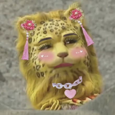抖音金钱豹表情包有哪些