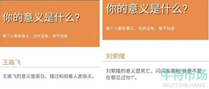 你的意义是什么测试打不开怎么回事