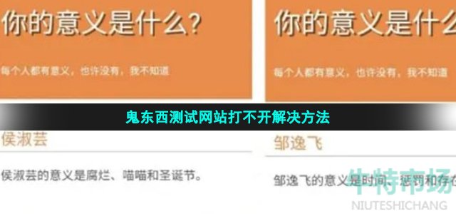 你的意义是什么测试打不开怎么回事