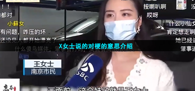 X女士说得对是什么梗