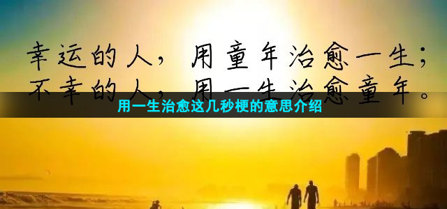 用一生治愈这几秒是什么梗