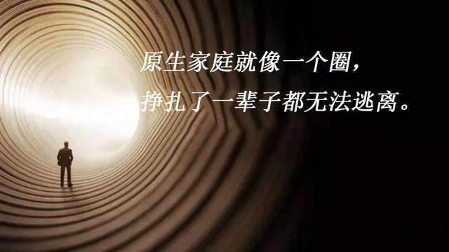 用一生治愈这几秒是什么梗