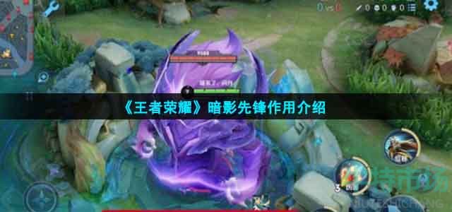 王者荣耀暗影先锋有什么用