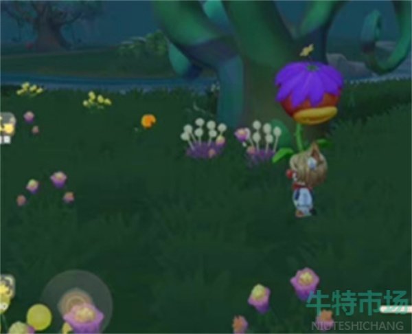 摩尔庄园怎么变大