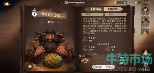 哈利波特魔法觉醒飞龙流双排主流怎么玩