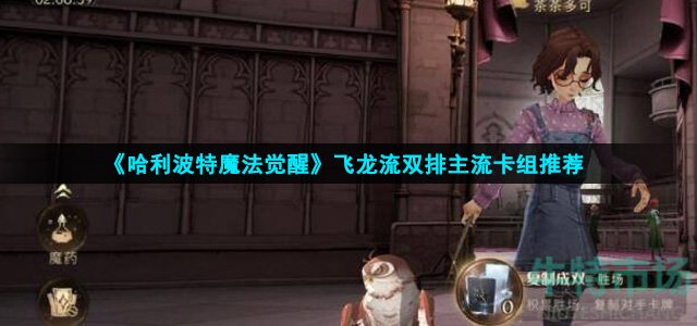 哈利波特魔法觉醒飞龙流双排主流怎么玩