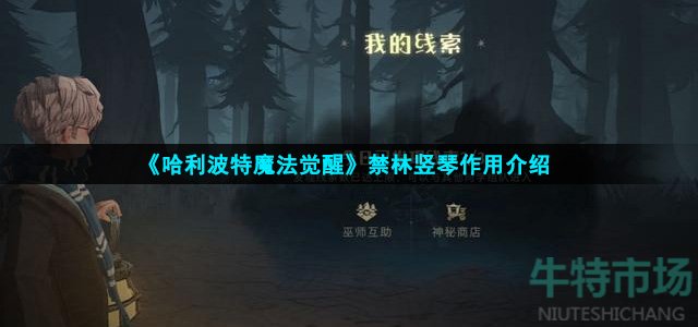 哈利波特魔法觉醒竖琴有什么用