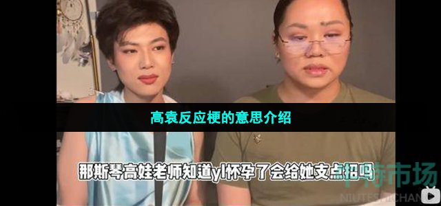 高袁反应什么梗