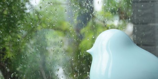 支付宝雨水节气一定会下雨吗