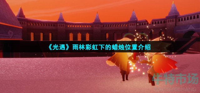 光遇11.18雨林彩虹蜡烛在哪