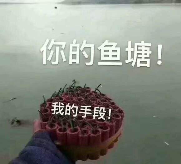 我像只鱼儿在你的鱼塘表情包有哪些
