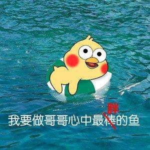 我像只鱼儿在你的鱼塘表情包有哪些