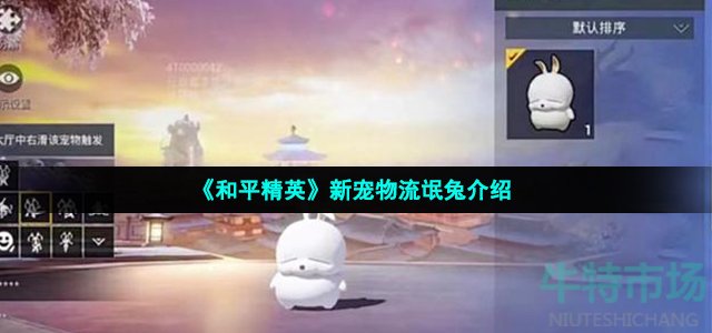 和平精英新宠物流氓兔怎么样