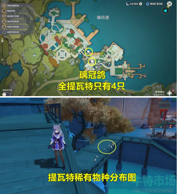 原神璃冠鸽在哪里