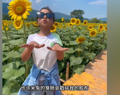 抖音米兔的臭肠梗是什么意思