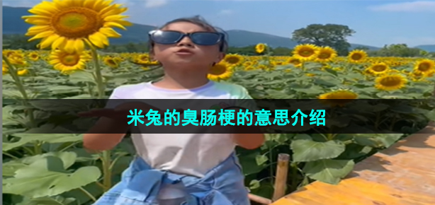 抖音米兔的臭肠梗是什么意思