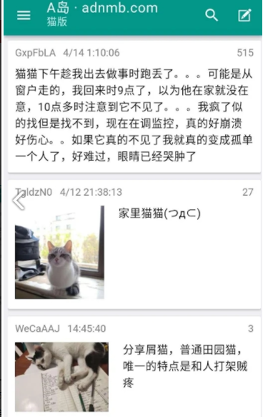 A岛匿名版