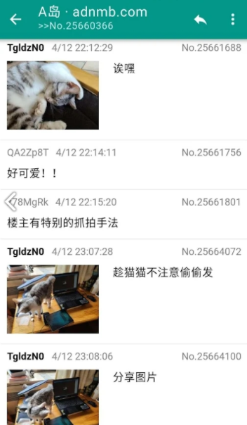 A岛匿名版