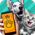 pet translator最新版