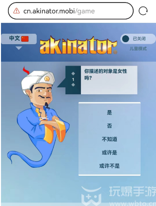 网络天才