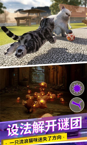 猫咪城市模拟器正版