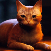 猫咪城市模拟器正版