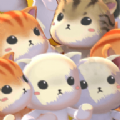 猫落家伙