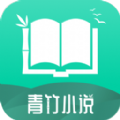 青竹小说安卓版