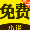 闪电免费小说
