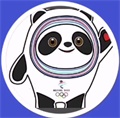 弹力冰墩墩