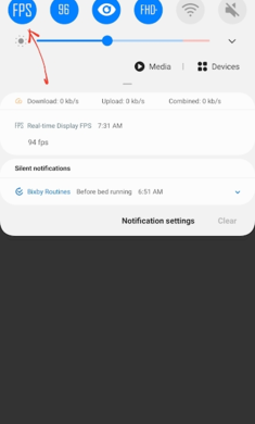 display fps