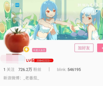 哔哩哔哩概念版